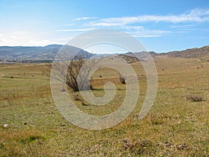 Hill covered of yellow grass under clear blue sky