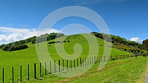 Hill at Duder Regional Park, an open farm in New Zealand