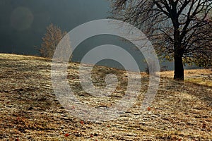 Hill ennobled by frost  autumn
