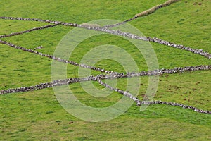 Hill of farm fields in the Corvo island in Azores, Portugal