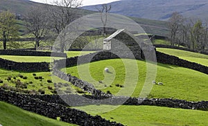 Hill Farm in North Yorkshire - England