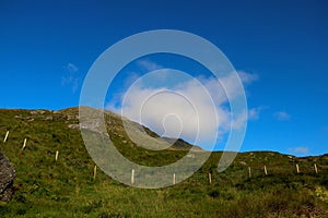 Hill and Fence in a Scottish Glen in Summer