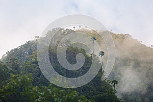 Hill and forest at Doi Luang Chiang Dao, Chiang Mai Province, Th