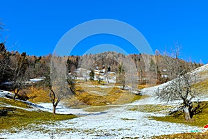 Hill with forest and meadows in winter in Karavanke mountains