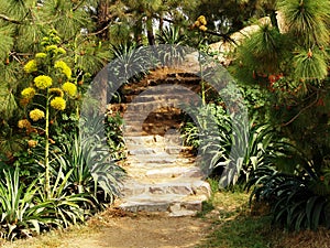 Hill Garden