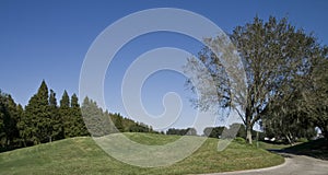 Hill on a Golf Course