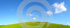 Hill with green grass and a blue sky with heaps