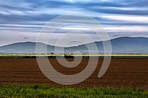 Hill landscape with trees, plowed and canola fields. Early spring