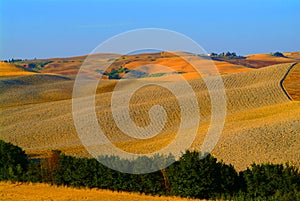Hill landscape tuscany