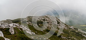 Hill with limestone stones, meadow and mountain pine - Retezat mountains near Piatra Iorgovanului hill in Romania