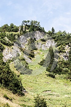 Hill with mountain meadow, limestone rocks and trees