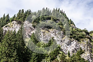 Hill with mountain meadow, trees and limestone rocks