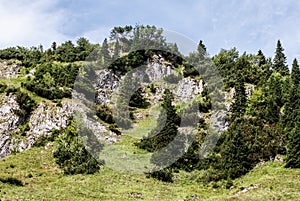 Hill with mountain meadow, trees and limestone rocks