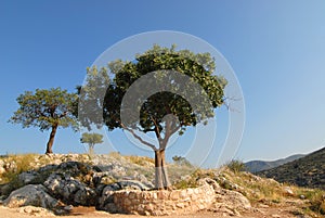 Hill of Mycenae in Greece