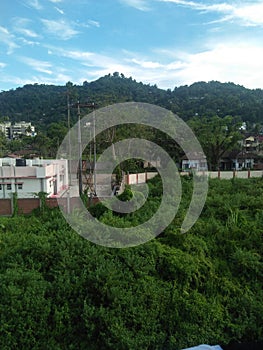 Hill ,plants and recident ...a beautiful combination in Assam