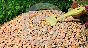 Hill of Pumpkin Seeds. Healthy food