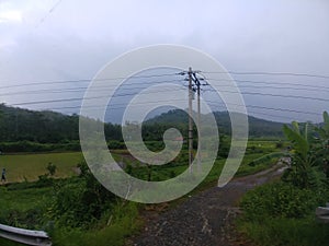 A hill and ricefields view with electric power pole