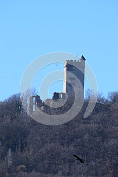 hill with ruin Burg OlbrÃ¼ck and a raven flying by