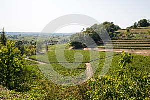 Hill SAINT EMILION vineyard landscape of vineyards around the village