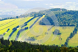 Hill slope covered with green grass and spruce trees in the Owl Mountains, Sudetes, Poland.