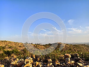 hill Spred grass rock stone trees in blue sky background photo