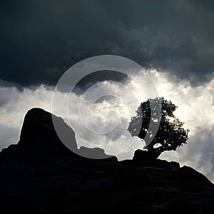 A hill, a stone and a tree against a cloudy sky