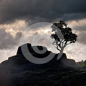 A hill, a stone and a tree against a cloudy sky