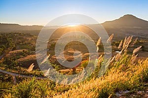 Hill with sunshine in the sunrise at Takhian Ngoa Mountain Phetchabun, Thailand.Natural summer landscape.