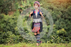 Hill Tribe Coffee Plantation,Akha Woman Picking Red Coffee On Bouquet On Tree photo