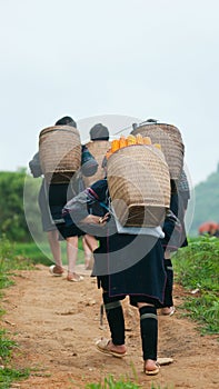 Hill tribe women in Sapa, Vietnam