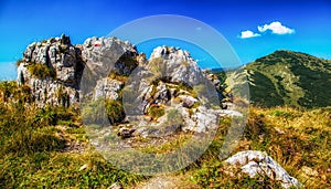 Hill Velky Krivan in mountain range Mala Fatra, Slovakia photo