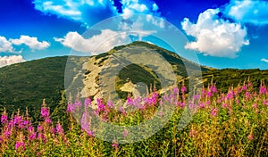 Hill Velky Krivan in mountain range Mala Fatra, Slovakia photo