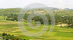 A hill view of agricultural fields.