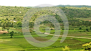 A hill view of agricultural fields.