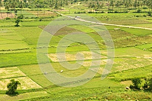 A hill view of agricultural fieldswith small village road.