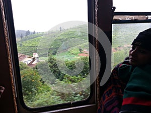 Hill View from Mountain Train