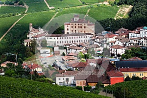 Hill vineyard near Barolo