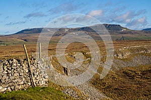 Hill walking the Norber Eratics around Austwick in Craven in  the Yorkshire Dales photo