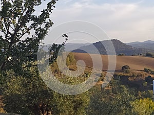 Hill where the ancient Roman city of Iptucci was located in the province of CÃÂ¡diz Andalusia Spain photo