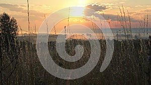 A hill with wild grasses over a misty valley at sunrise