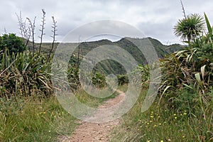 Hillary Trail in Waitakere Ranges regional park