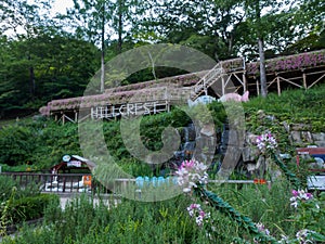 Hillcrest (Hub Hills) scene, Eco theme park in Daegu city, Korea