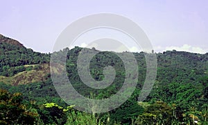 Hillock Scenery of Neyyar Dam Forest