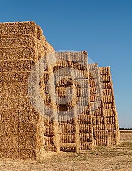 Hillock of straw bales