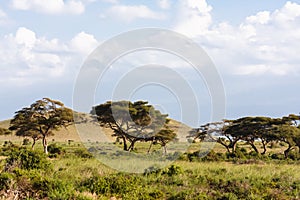 Hills of Amboseli. Landscapes of Eastest Africa.