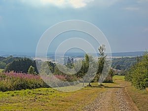 Hills of Ardennes with trees and wildflowers and Basilica of Saint-Hubert