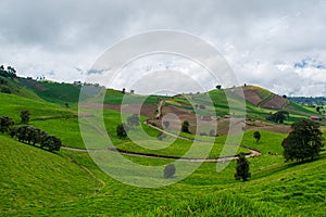 Hills in cartago costa rica photo