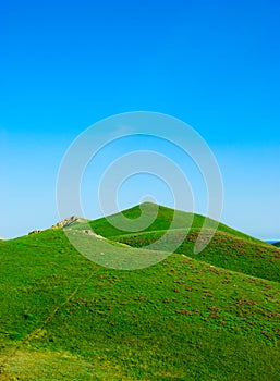 Hills covered with a green grass