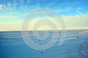 Hills covered with snow, field with sunflower cut stems, winter landscape, bright blue-golden cloudy sky