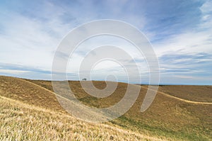 Hills covered with yellow grass under dark clouds